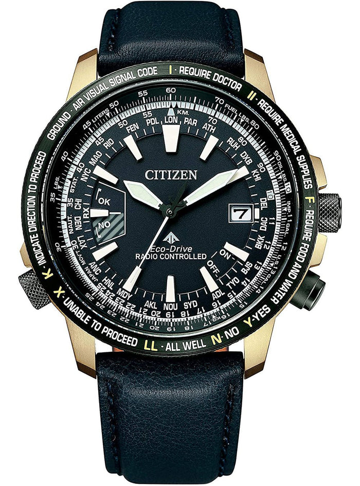 CITIZEN PROMASTER ECO-DRIVE RADIO CLOCK DIRECT FLIGHT CB0204-14L JAPAN MOV'T JDMWRISTWATCHjapan-select