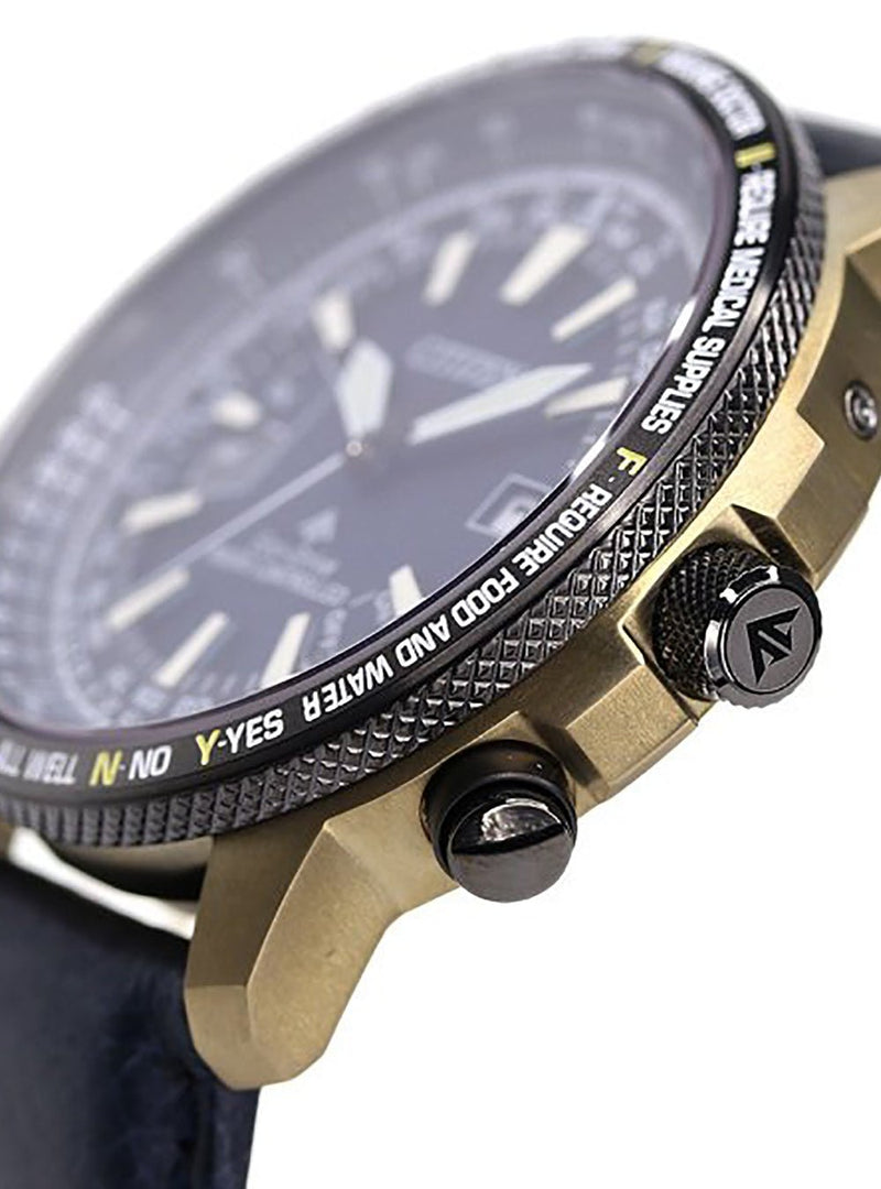 CITIZEN PROMASTER ECO-DRIVE RADIO CLOCK DIRECT FLIGHT CB0204-14L JAPAN MOV'T JDMWRISTWATCHjapan-select